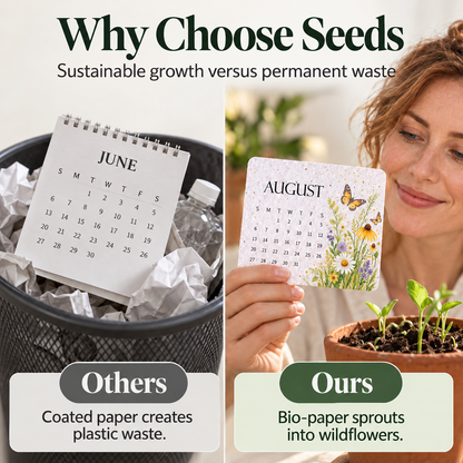 🇺🇸 🌱 2027 Plantable Desk Calendar — A Little Art. A New Beginning. 📅